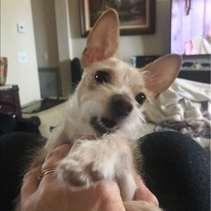 Meet your Posher, Irina